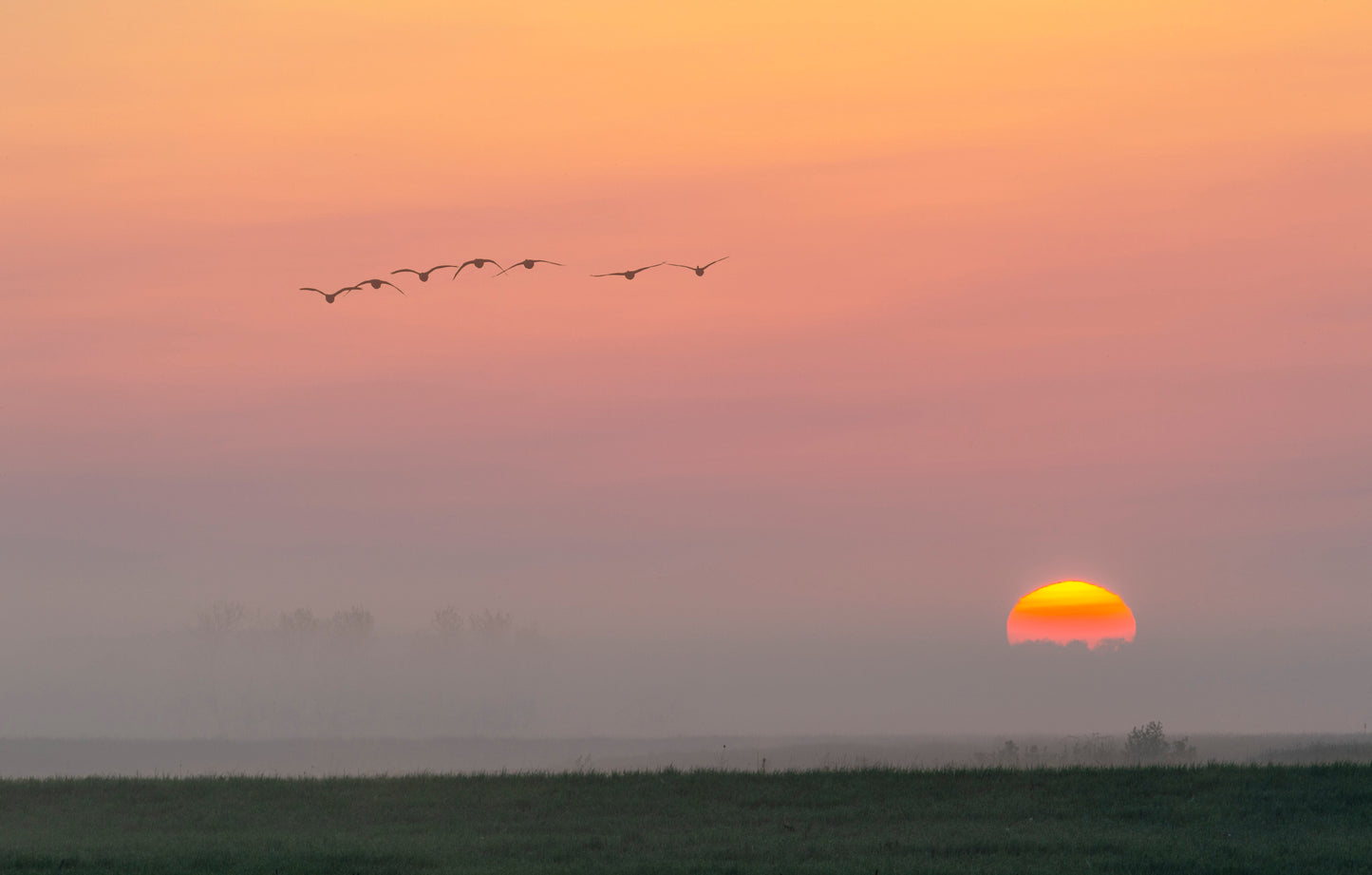 Flight at Sunrise II