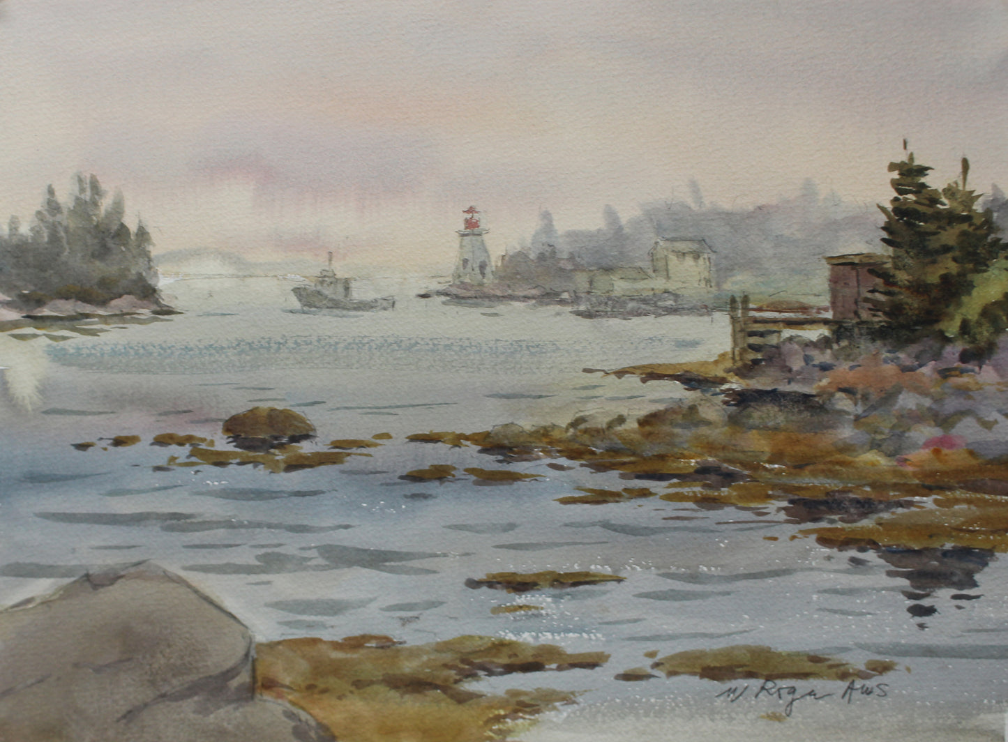 Foggy Day at Paddy's Head