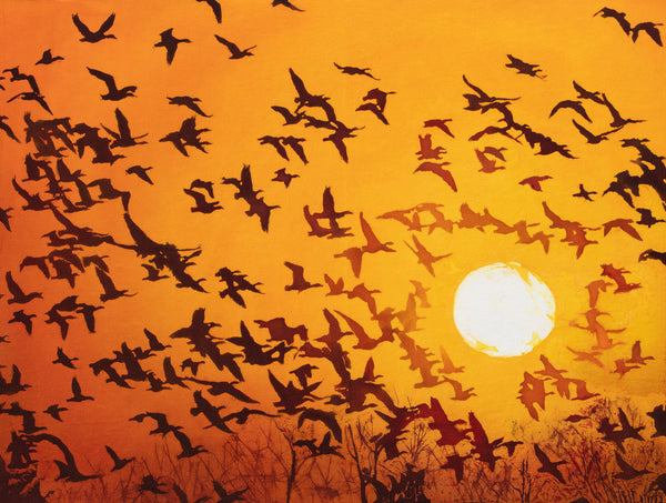 Full Flight at Sunset