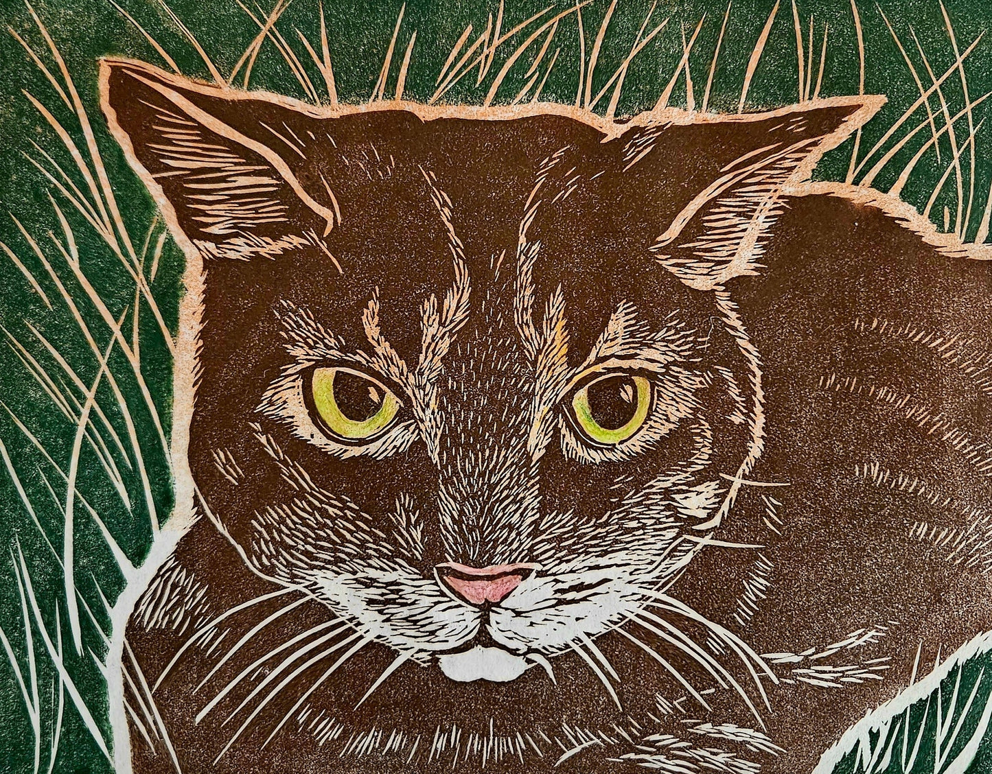 Garden Cat 2/20