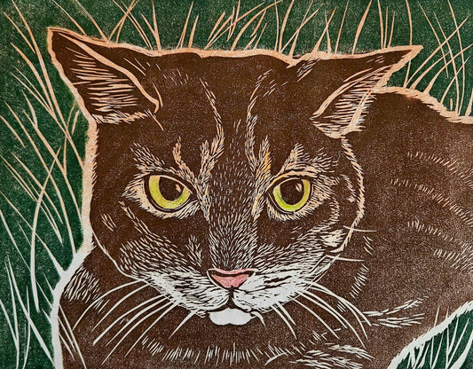 Garden Cat 2/20