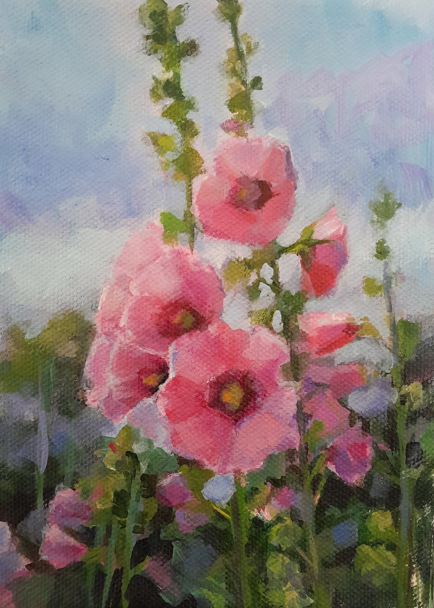 Hollyhocks