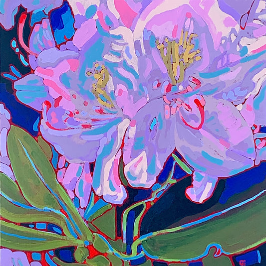 June Rhododendrons