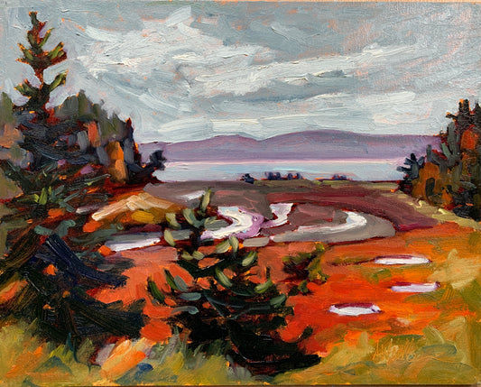Fox River Intertidal
