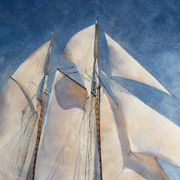 Sails Aloft