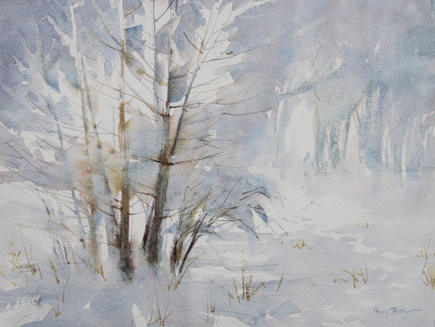 Hoarfrost
