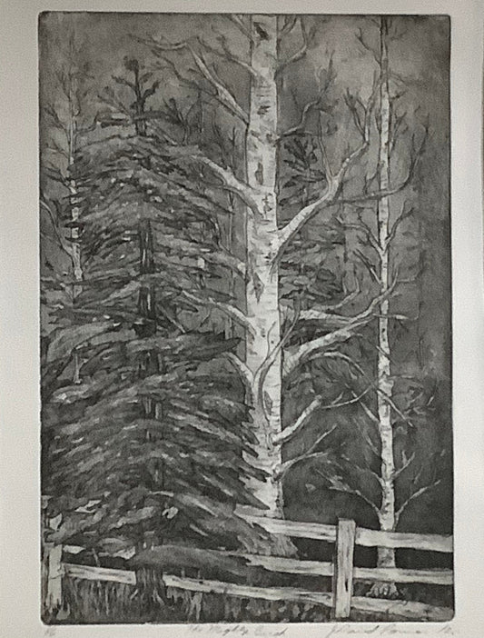 The Mighty Birch