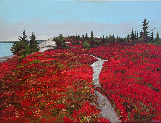 The Lookoff - Blueberry Field