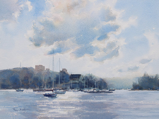 Cloud Shadows Over AYC