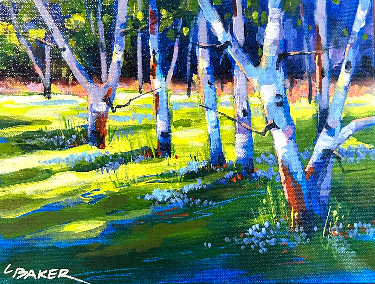 Late Afternoon Birch