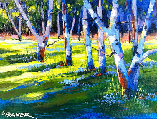 Late Afternoon Birch