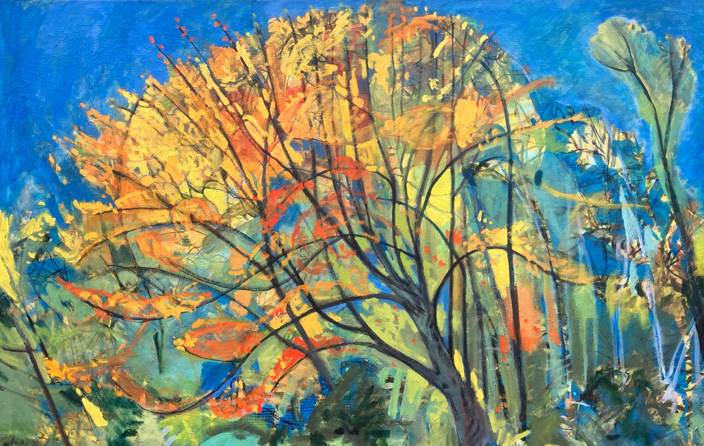 Fall Garden Maple Skyline Day Two