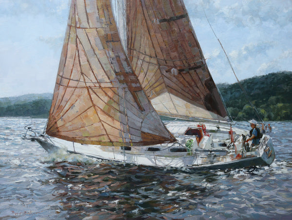 Sail of Many Colours