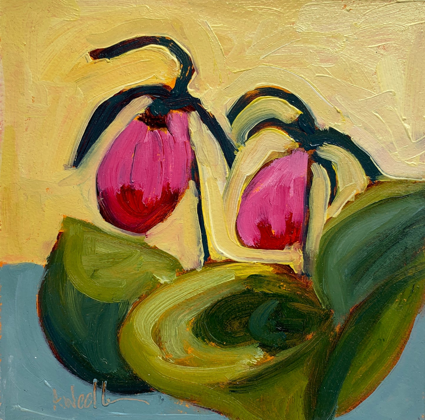Two Lady Slippers