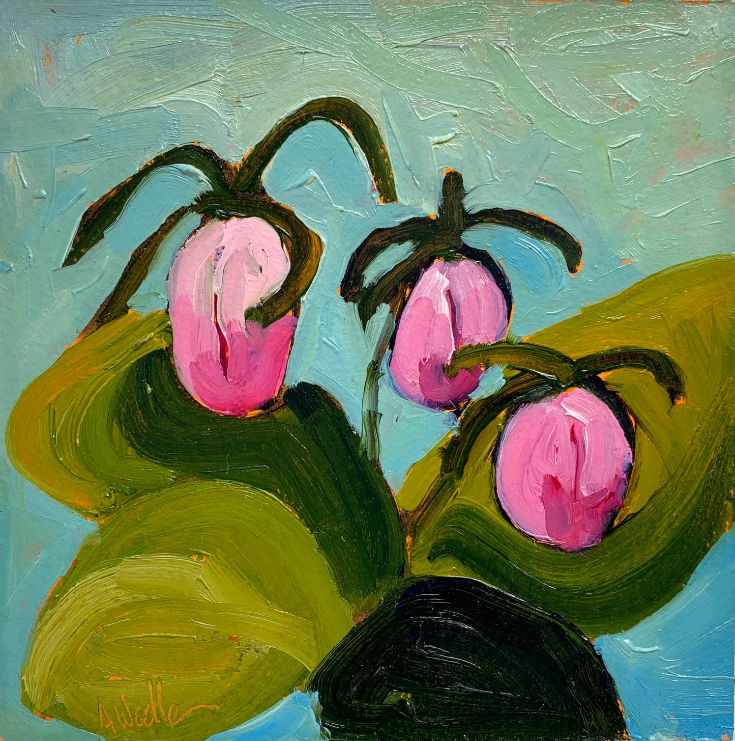 Three Lady Slippers