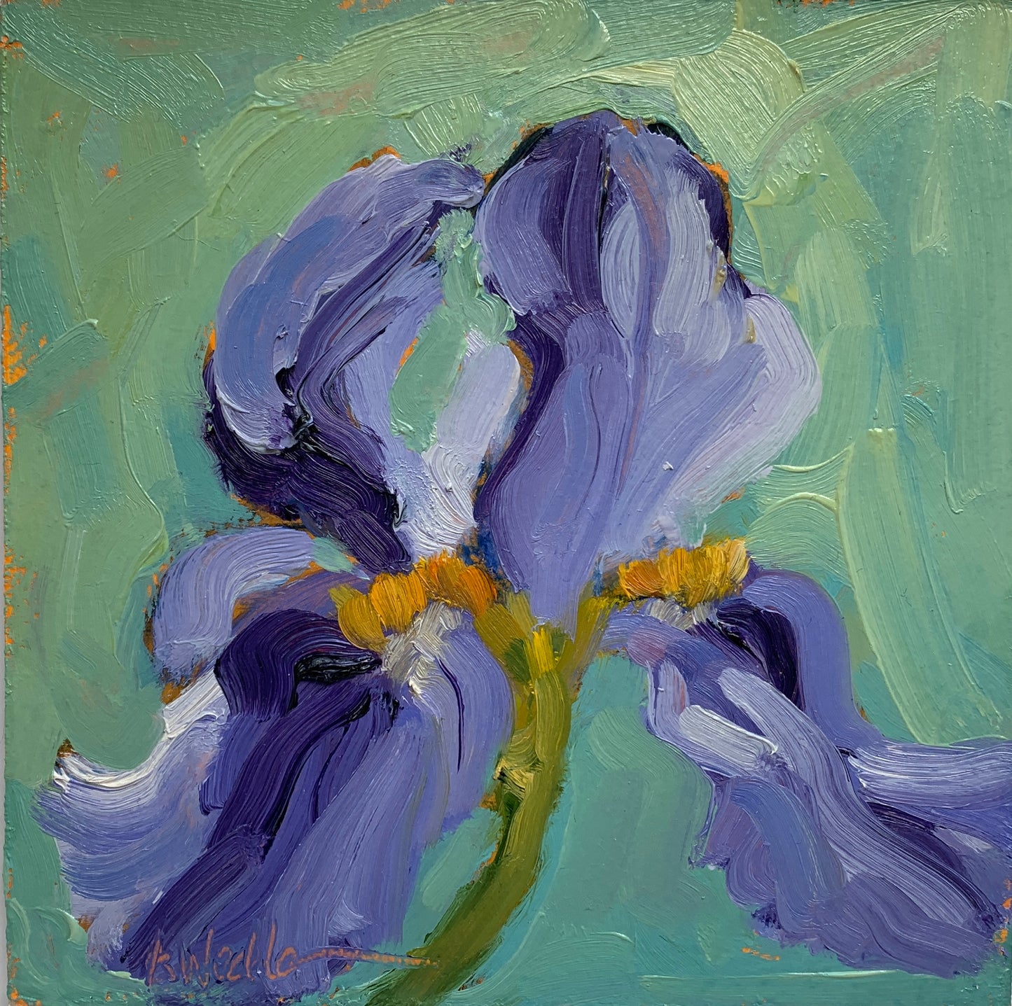 Iris