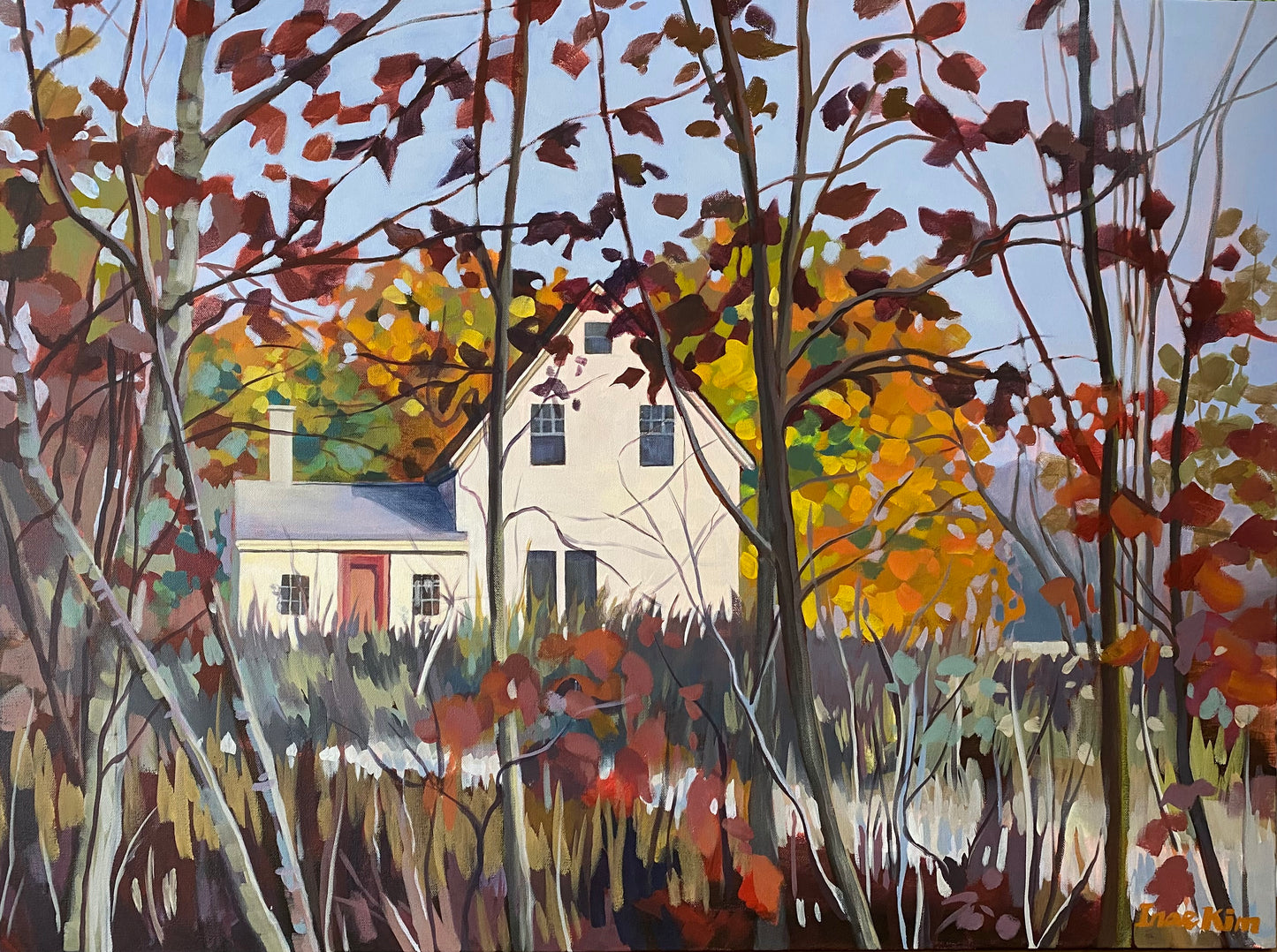 Fall Colours on Hubley Rd.