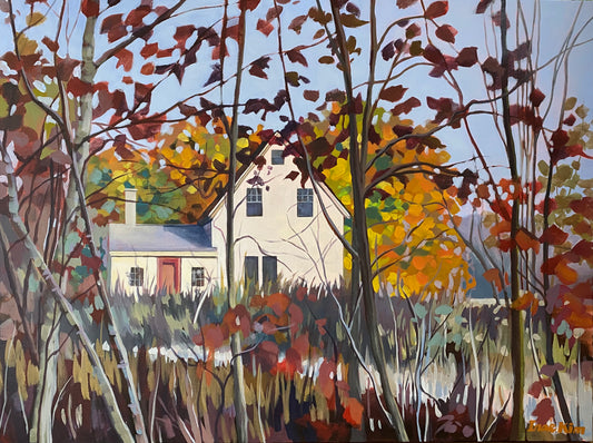 Fall Colours on Hubley Rd.