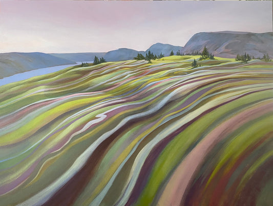 Waves of Gros Morne