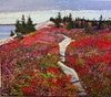 The Lookoff-Fall Beauty