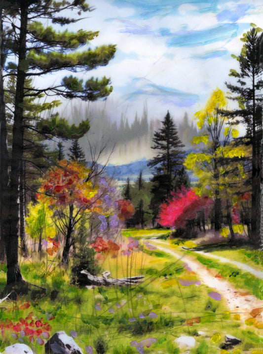 Forest Pathway