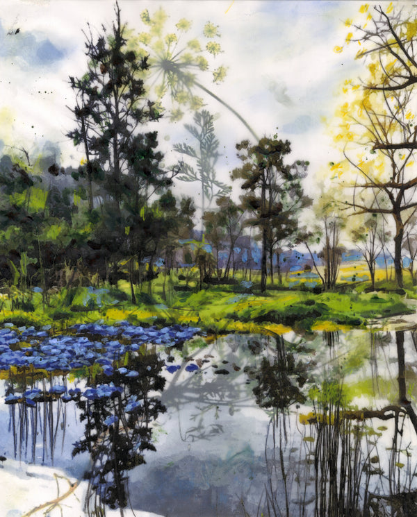 Pond with Blue Flowers