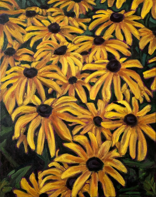 Black Eyed Susans