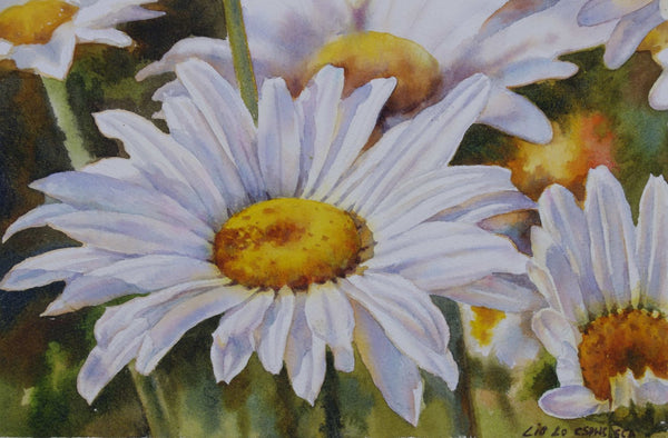 Daisies