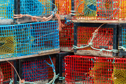 Lobster Traps