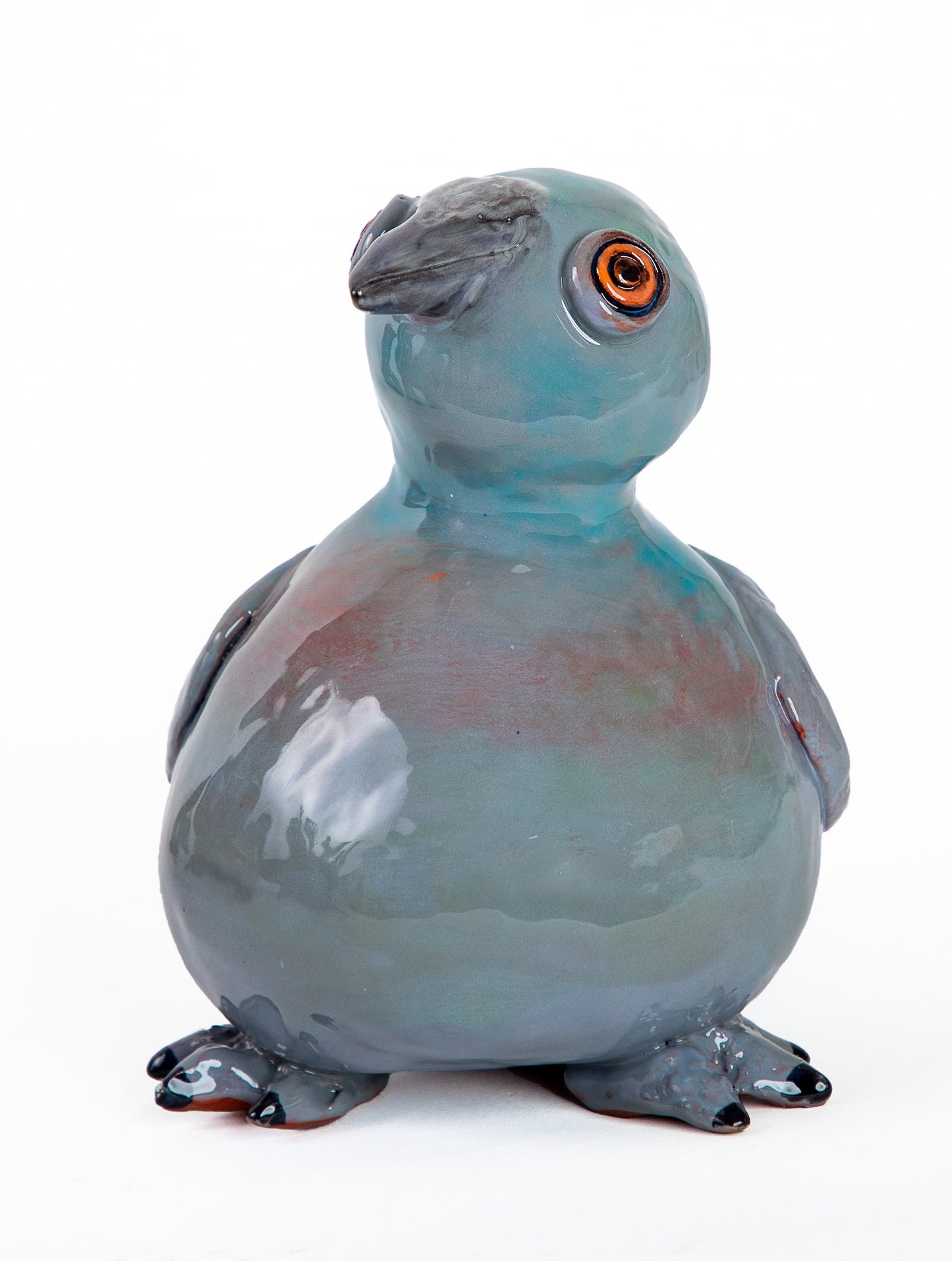 Pigeon 1 Blue