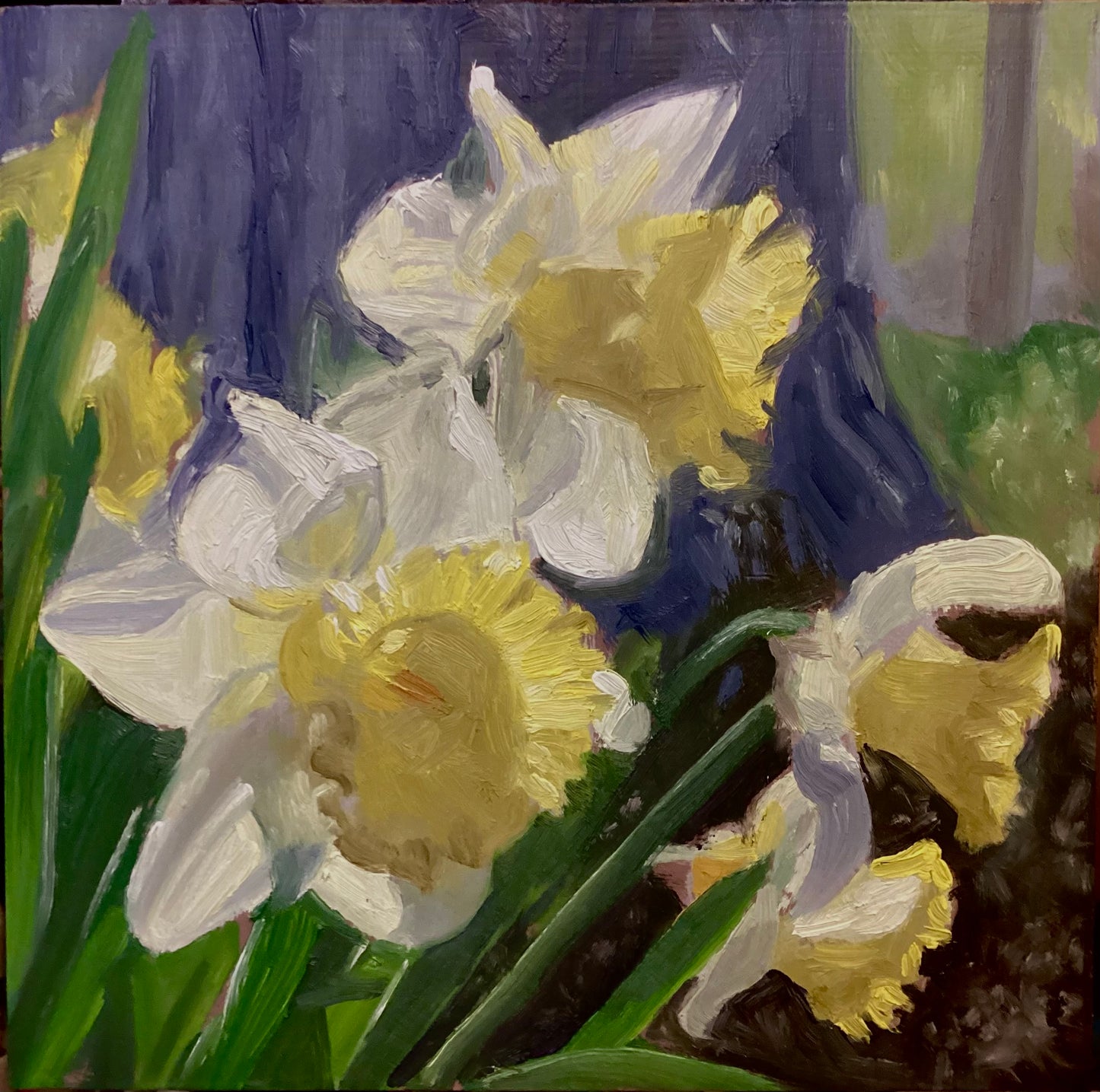 Daffodils