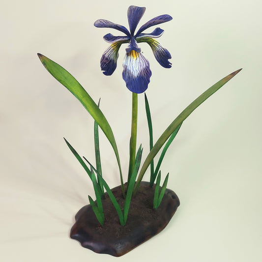 Blue Flag Iris