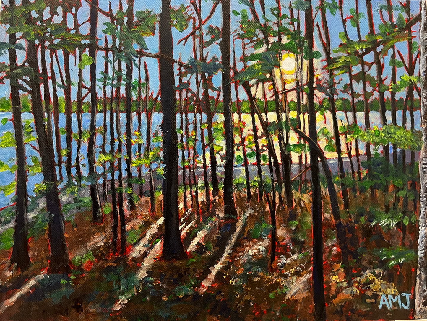 The Light Came Through