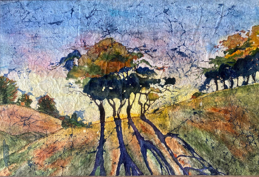 Morning Shadows