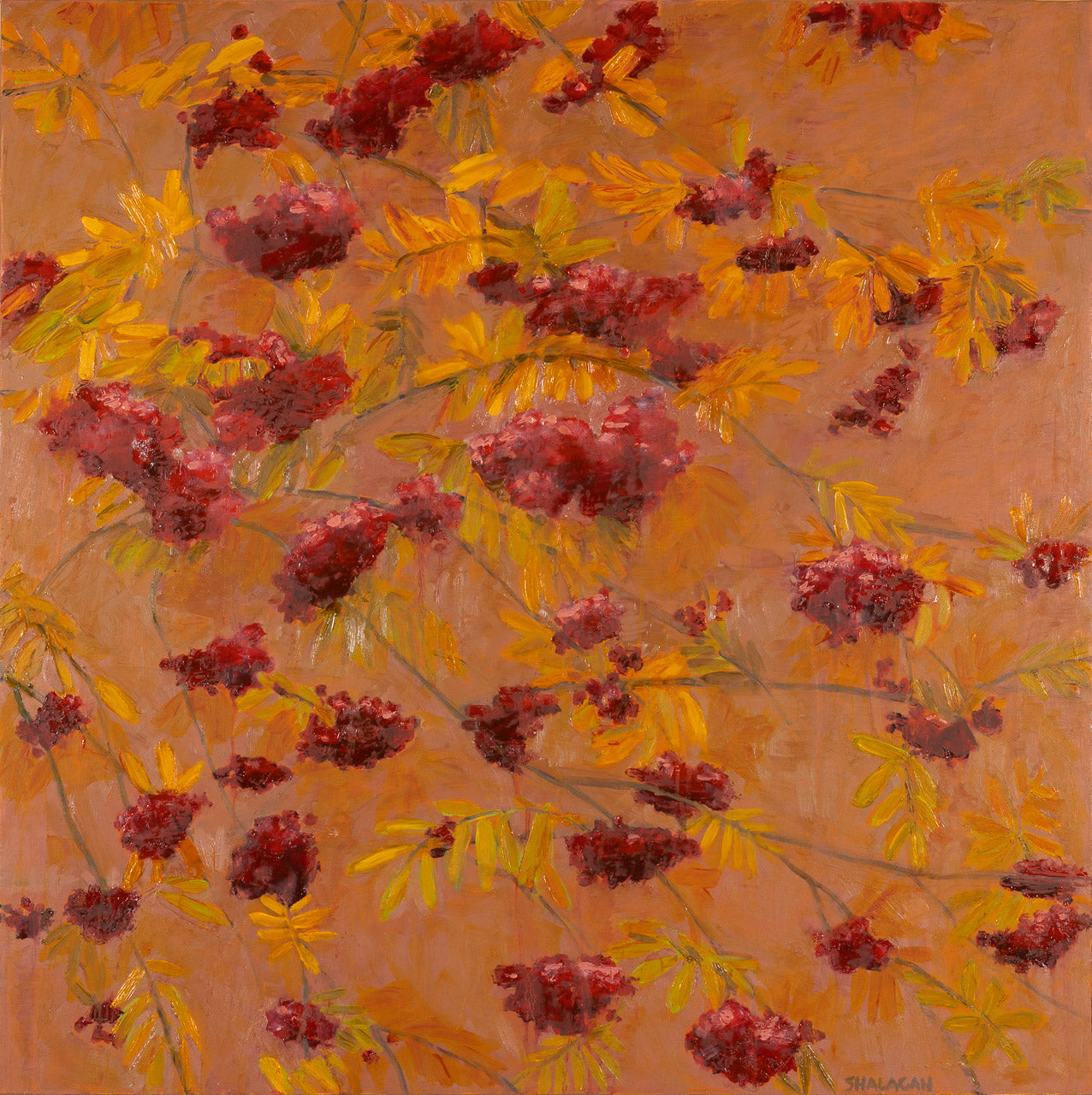 October Mountain Ash