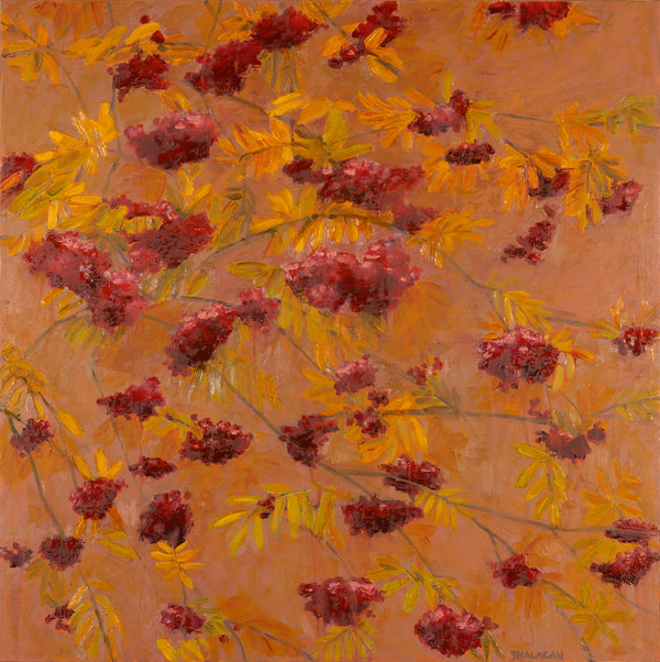 October Mountain Ash