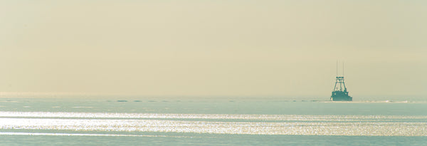 On the Bay