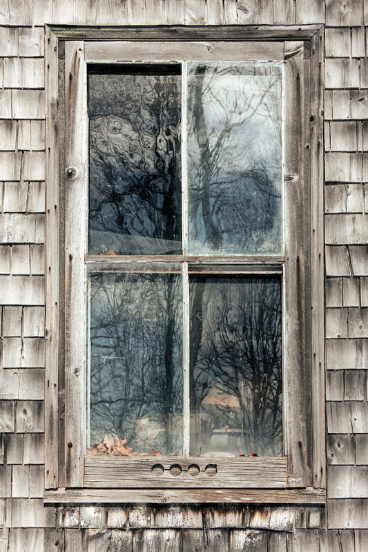 Trapped Souls