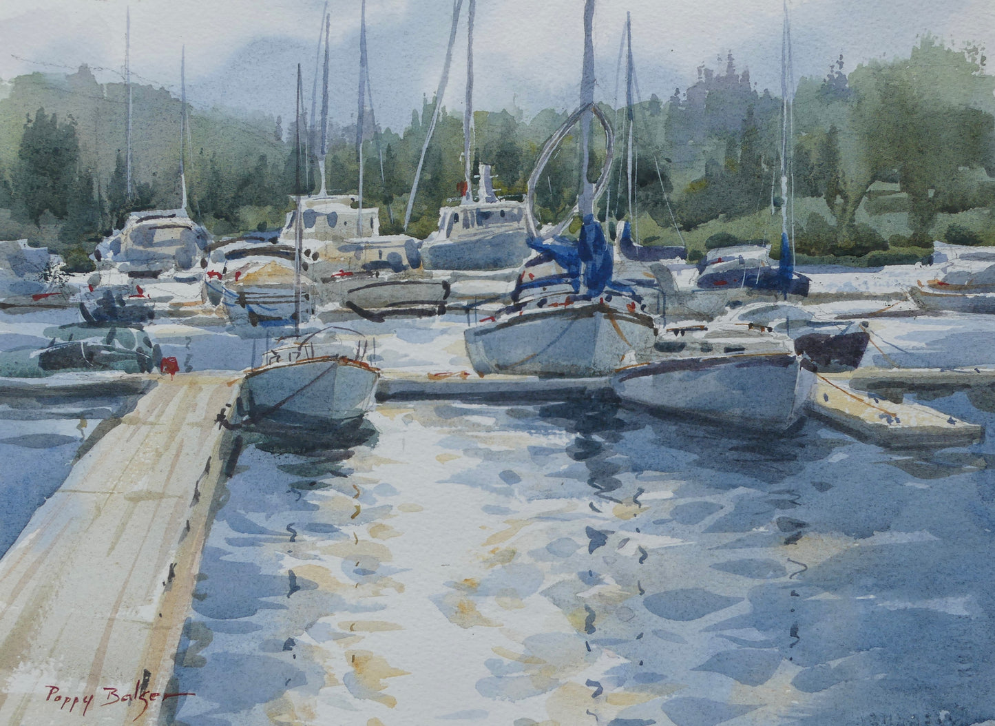 Evening Marina