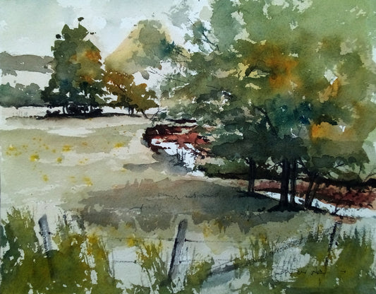 Babbling Brook