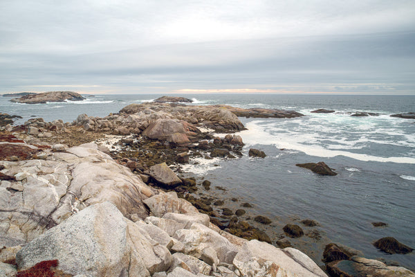 Polly Cove South 2 3/25