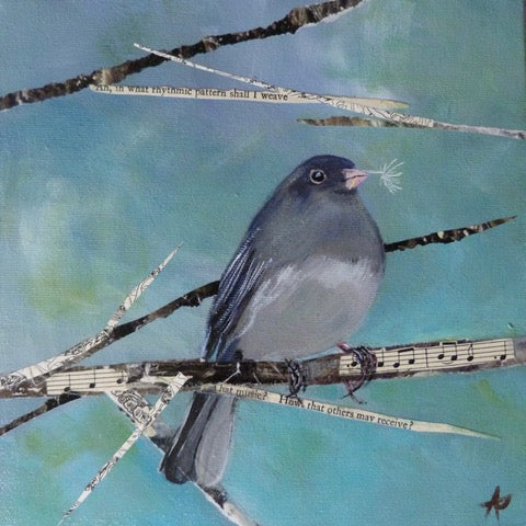 Junco