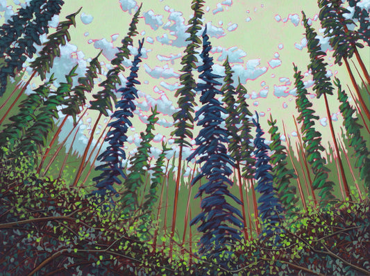 Reaching for the Sky