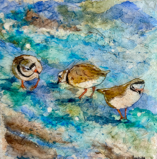 Three Piping Plovers