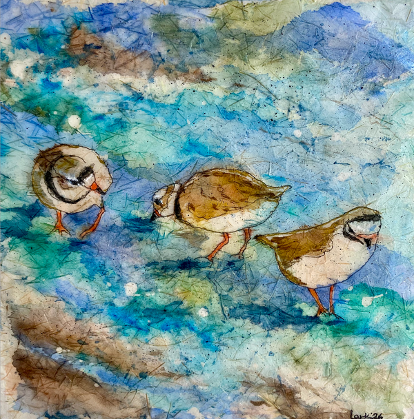 Three Piping Plovers