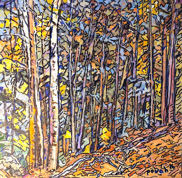 Silver Tones in the Fall - Clementsport
