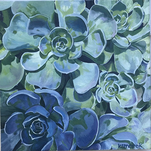 Succulents 1