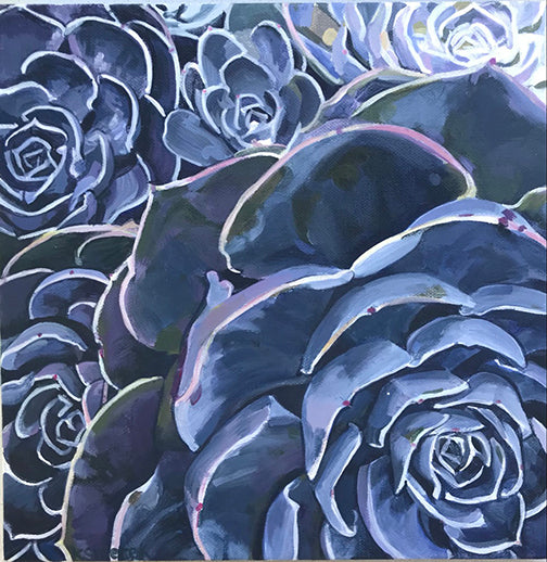 Succulents 2