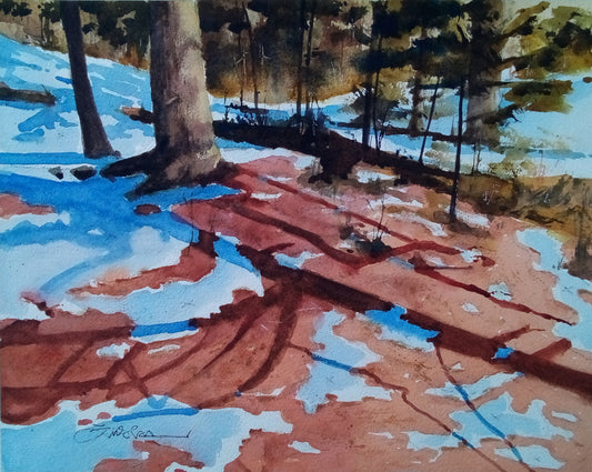 Forest Snowmelt