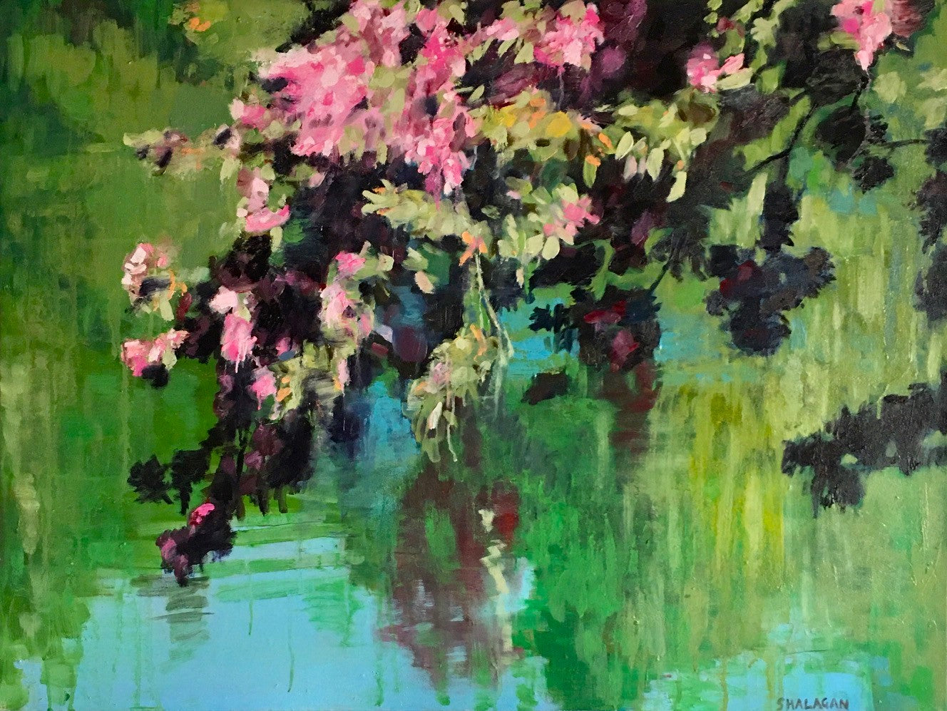Spring Blossoms Over Water